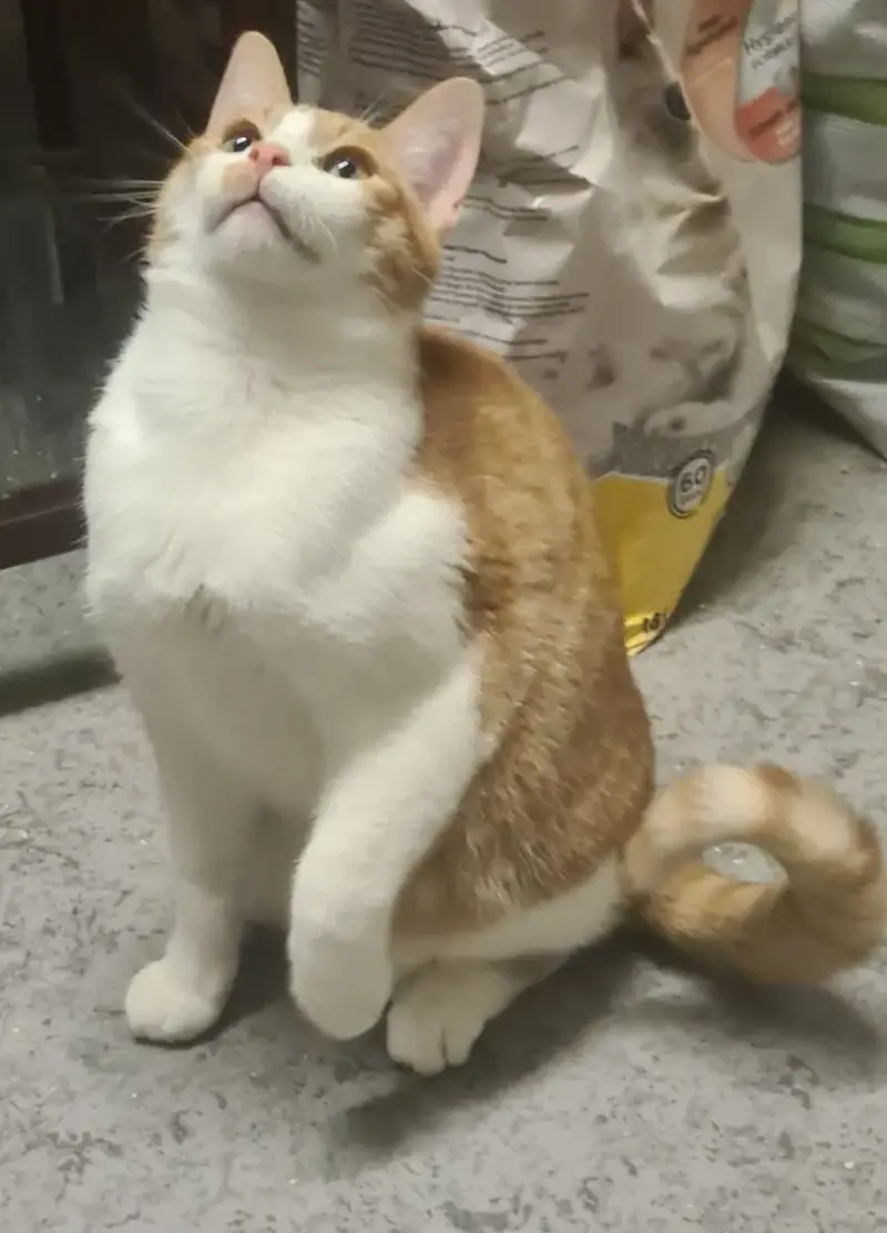 Bilbon