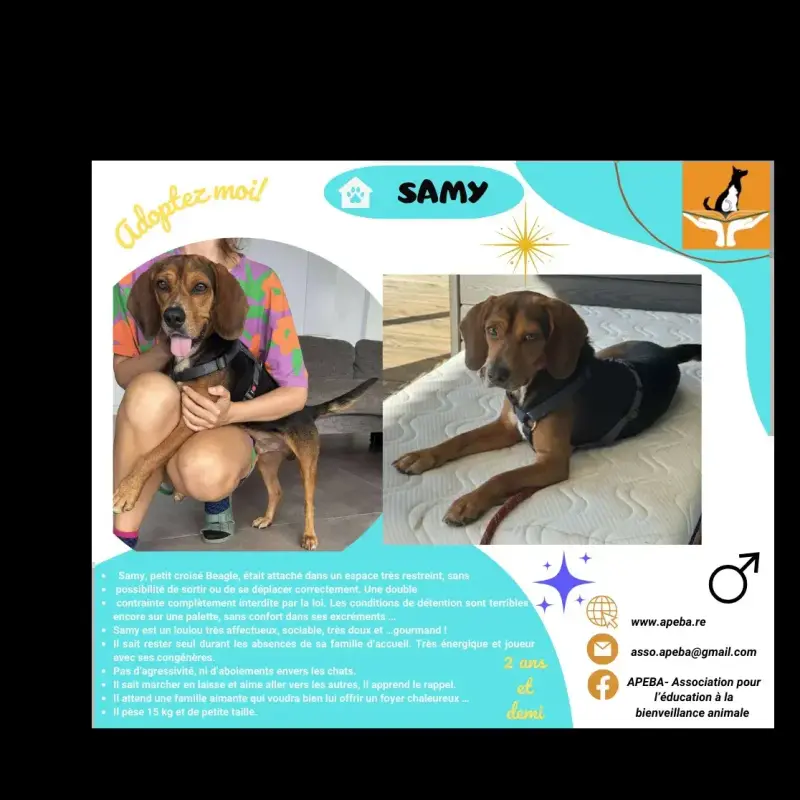 Samy