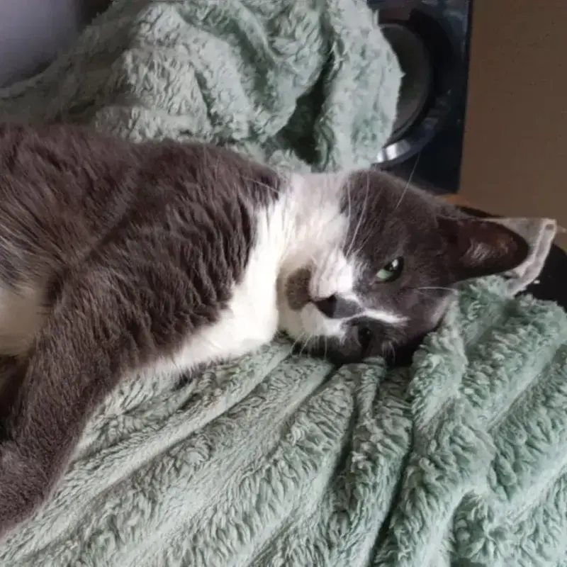 Zoe