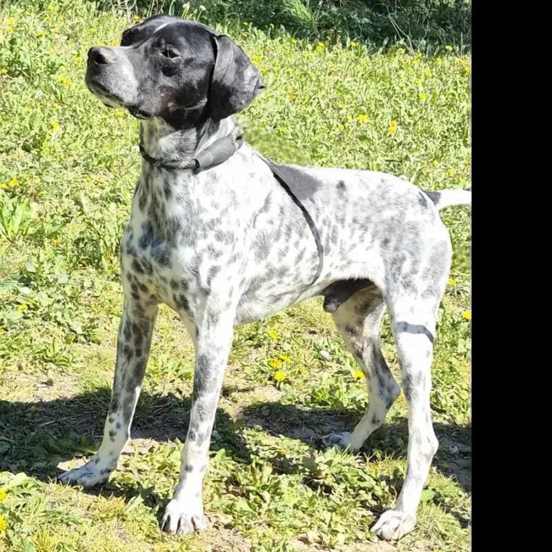 Jax