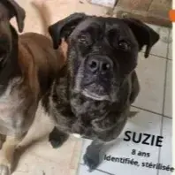 Suzie Et Thaï