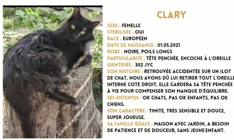 Clary