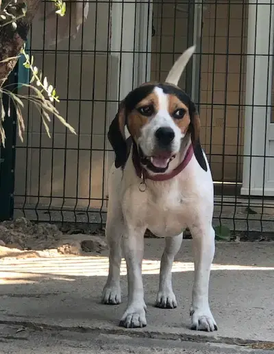 Max