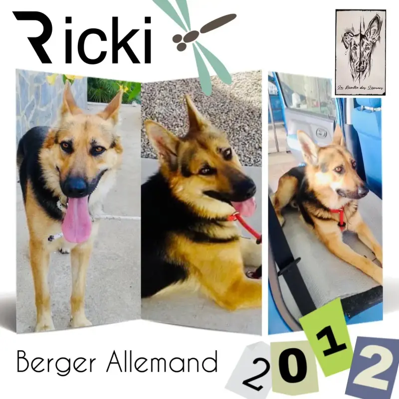 Ricki