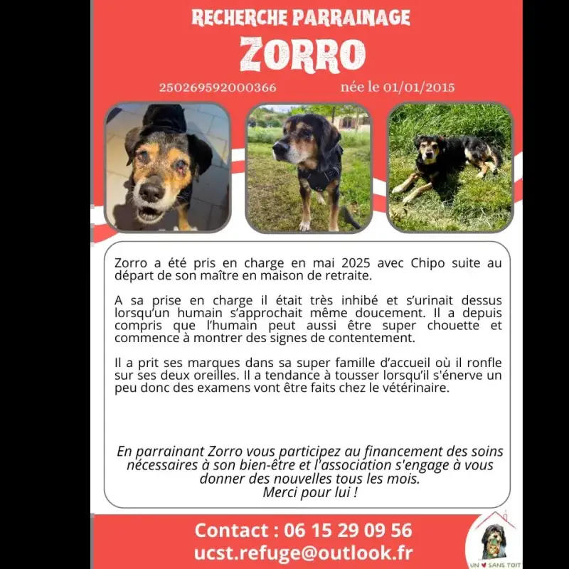 Zorro
