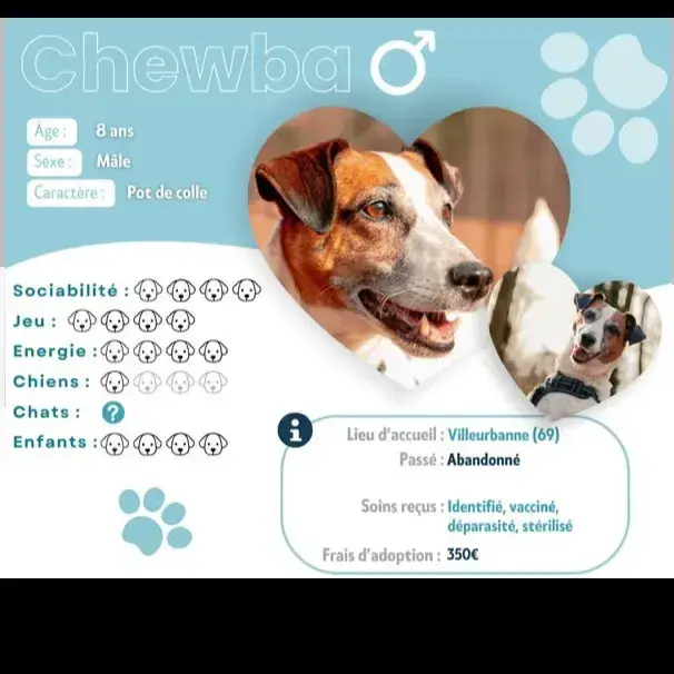 Chewba