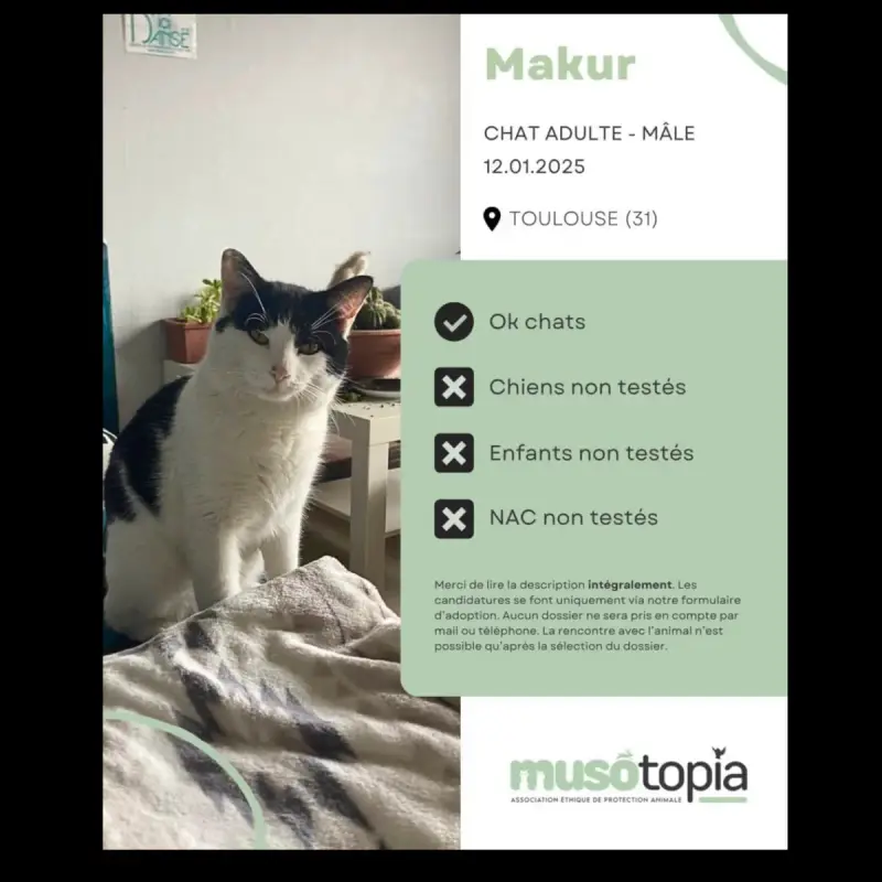 Makur
