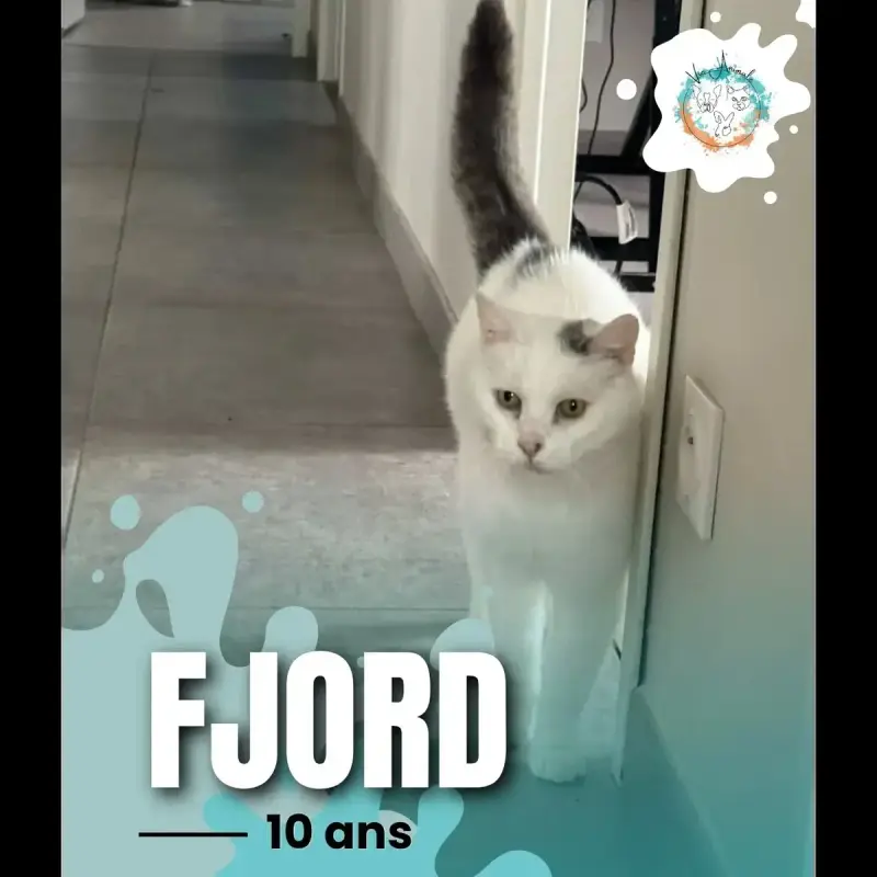Fjord