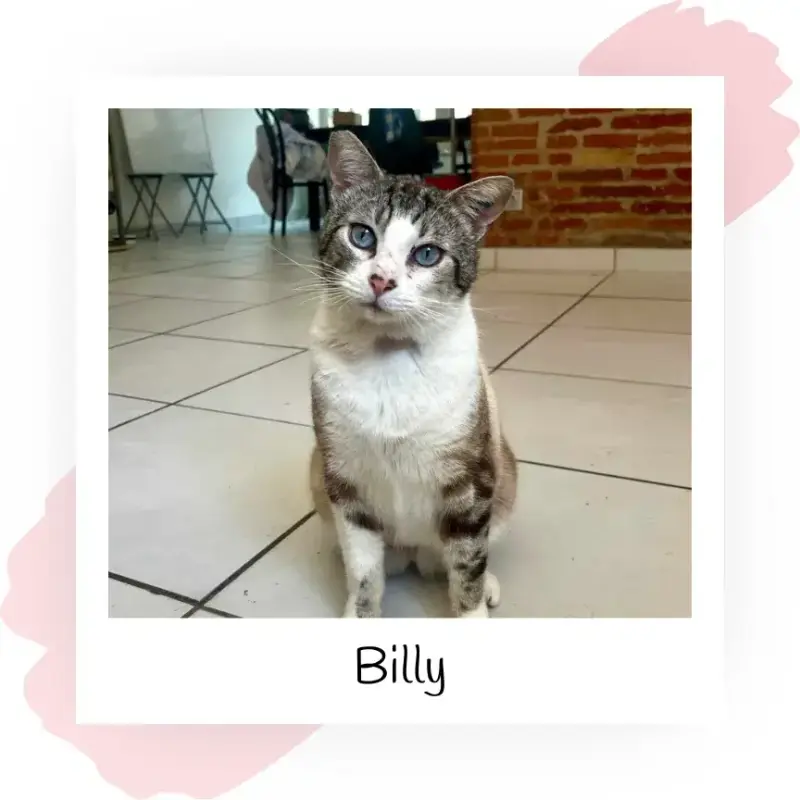 Billy
