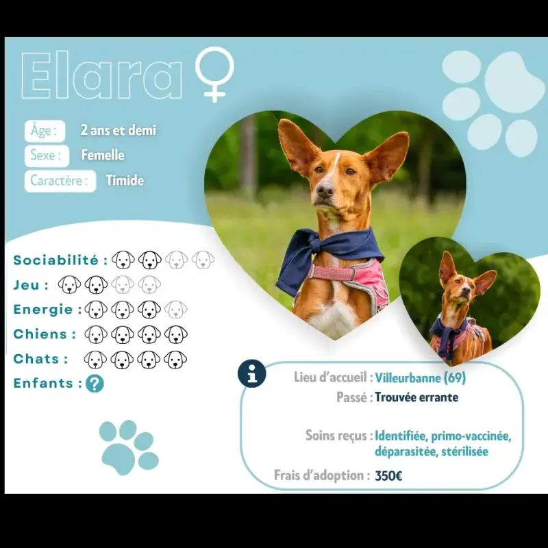 Elara
