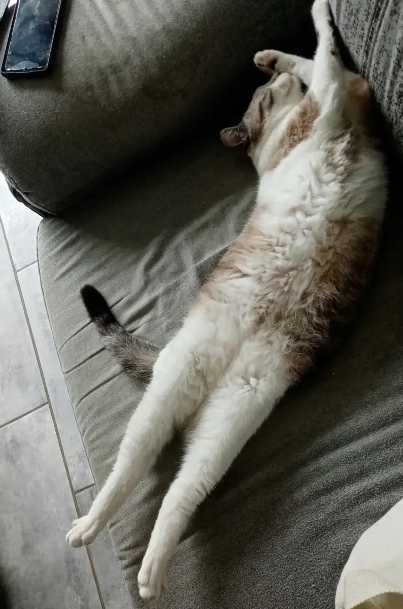 Itsy