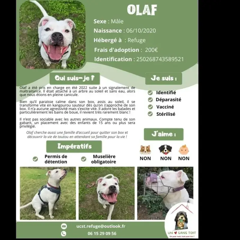 Olaf
