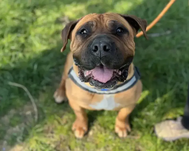 Xena